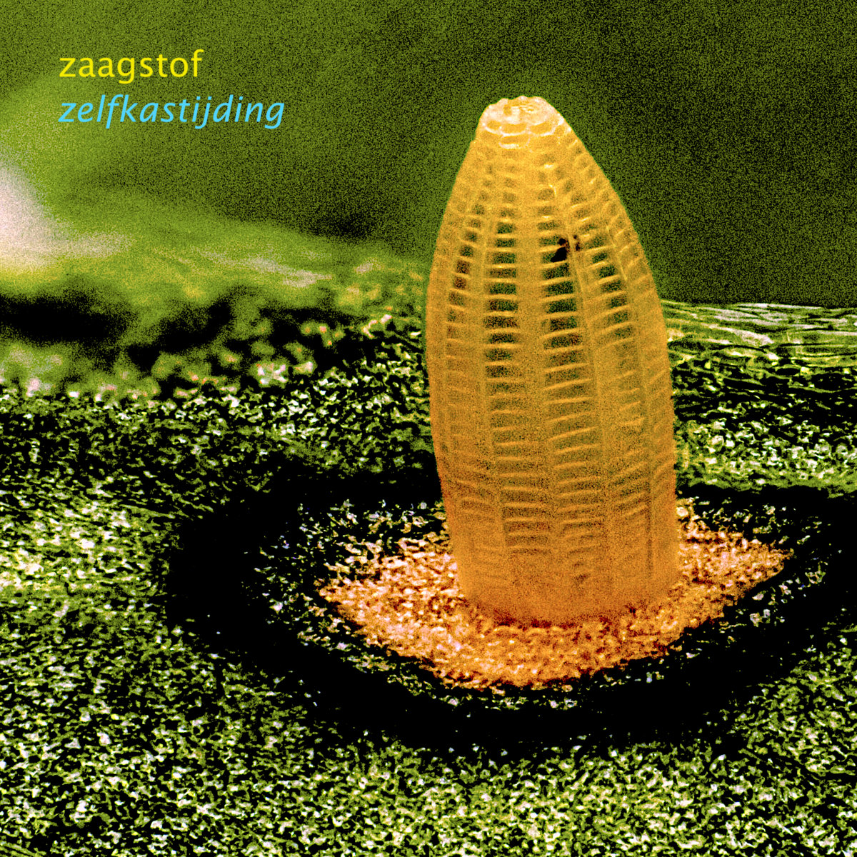 Zaagstof - Zelfkastijding